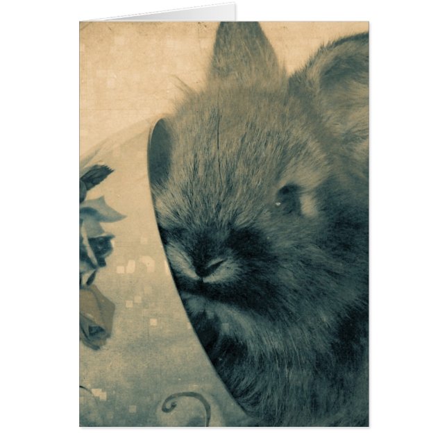 Tillfällen för gammaldags Bunny-foto Hälsningskort (Framsidan)
