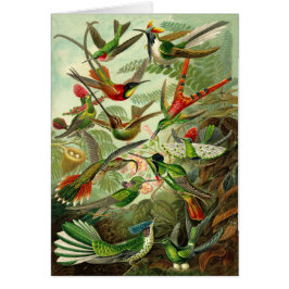 Tillfällen för Haeckel Hummingbirdillustration Hälsningskort