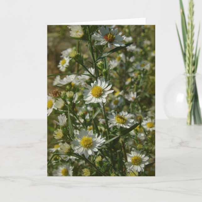 Tillfällen för höstblommor kort (Framsida)