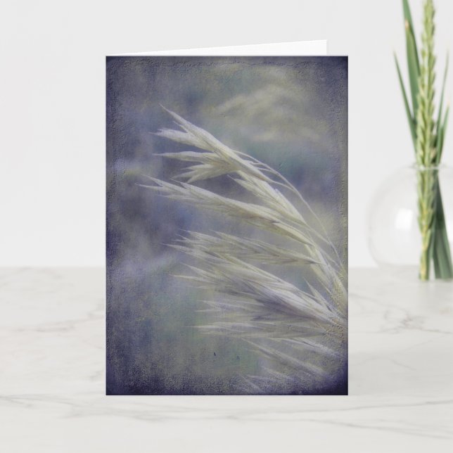 Tillfällen för utsäde av gräs kort (Framsida)