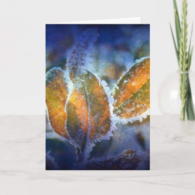 Tillfällen för vinterkyla kort (Framsida)