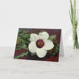Tillfällen för vit blomma stillastående kort