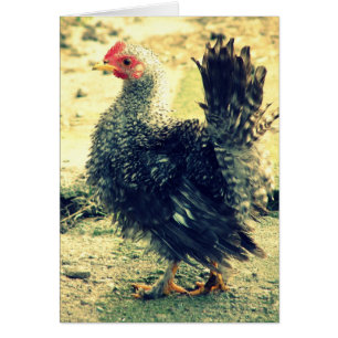Tillfällen Frizzle Tupp Blank Greeting Card Hälsningskort