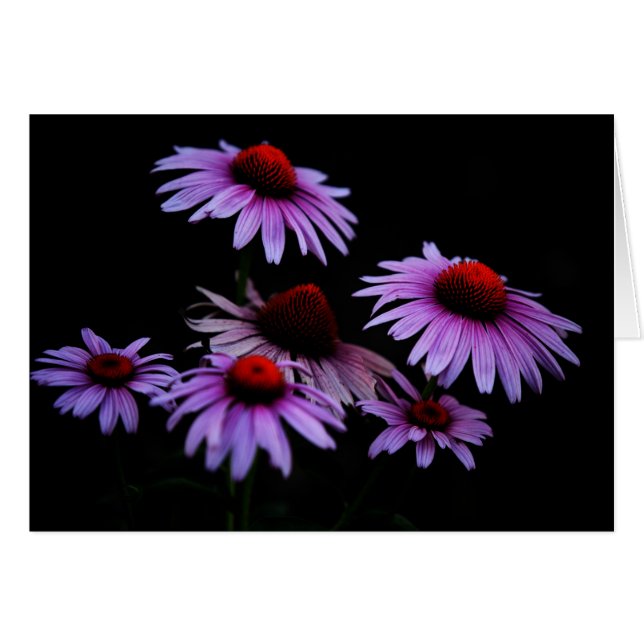 Tillfällen Hälsningskort (Framsidan Horizontal)