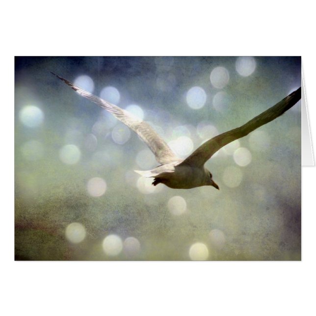 Tillfällen-kort för Fiskmås Hälsningskort (Framsidan Horizontal)