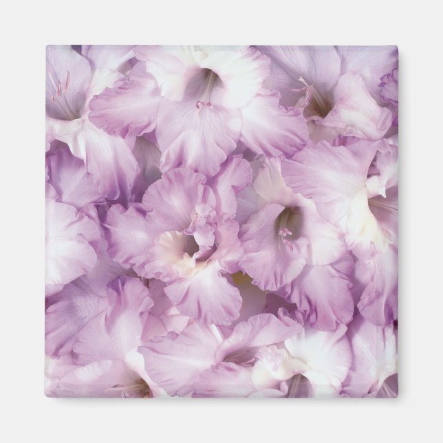 Tillfällen lila Glads Magnet (Framsidan)