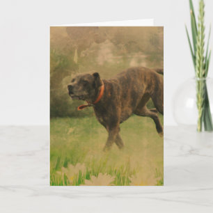 Tillfällen Lycklig Hund Kort