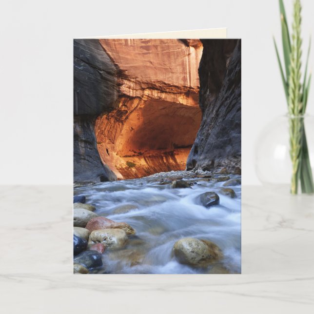 Tillfällen, Narrows, Zion National Park Utah Kort (Framsida)