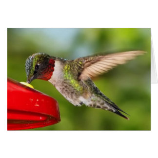 tillfällen OBS kort