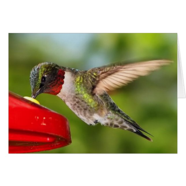 tillfällen OBS kort (Framsidan Horizontal)