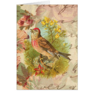 Tillfällen Ro Linnet Blank Greeting Card OBS Kort