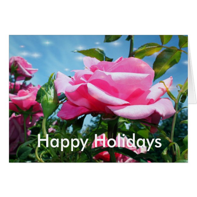Tillfällen rosa ros, lägg till foto, text hälsningskort (Framsidan Horizontal)