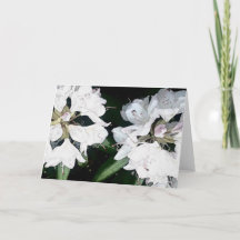 Tillfällenhälsningkort (tom insida)