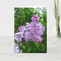 Tillfällenhälsningkort (tom insida)