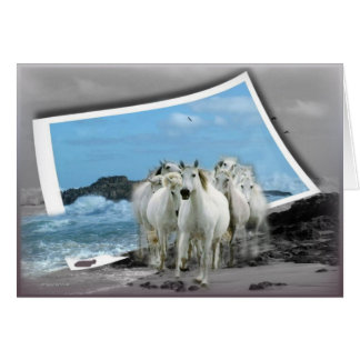 Tillfällenkort Hälsningskort