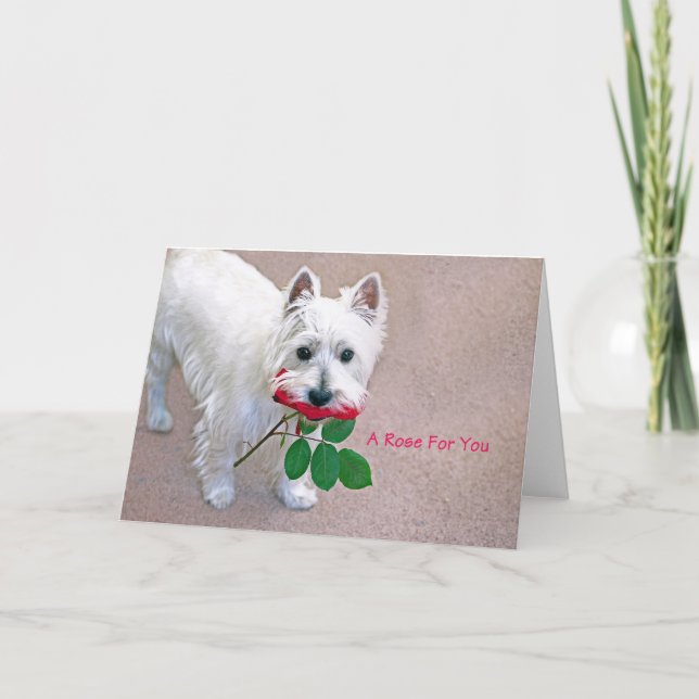 tillfällens hälsningskort "A Ro for You" Tack Kort (Framsida)