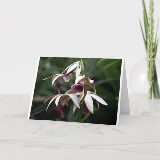 Tillfällens hälsningskort med vacker blomma kort