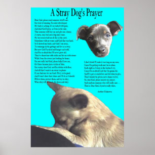 Tillfälliga hund bön poster