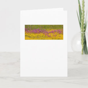 Tillfälligt gratulationskort för Wildblomma Kort