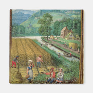 Tillfoga 18855 September: skörda och att plöja o Magnet