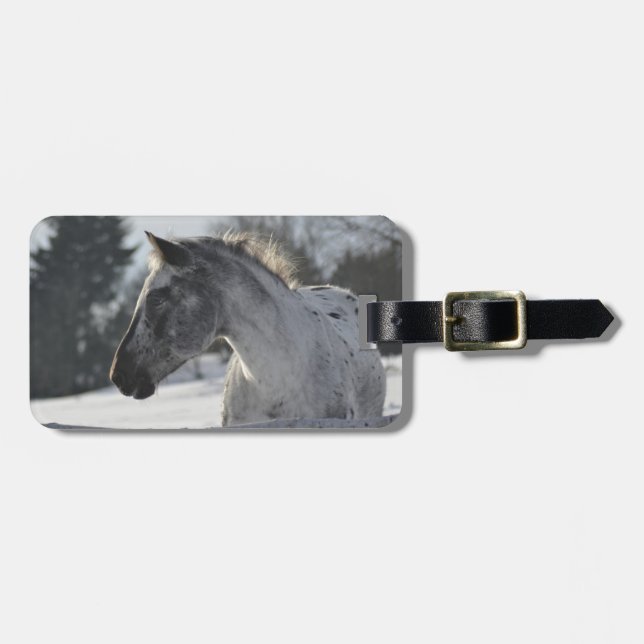 Tillfoga din egna häst som fotoet reser bagagebricka (Horisontell Framsida)