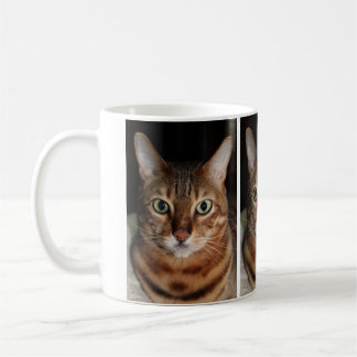 Tillfoga din egna Meme, stirra muggen för det Kaffemugg