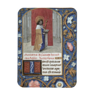 Tillfoga msen 54782 f.40 St David, från Hastingse Magnet