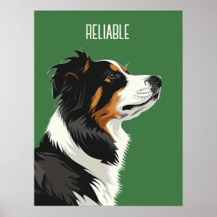 Tillförlitlig Australian shepherd Poster