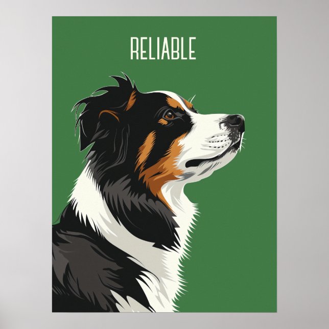 Tillförlitlig Australian shepherd Poster (Framsidan)