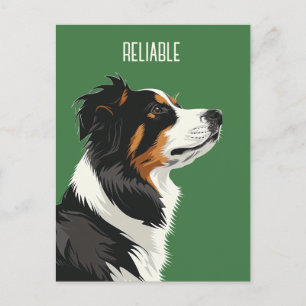 Tillförlitlig Australian shepherd Vykort