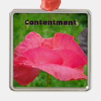 Tillfredsställelse ornament Rosa Vallmo Blomma