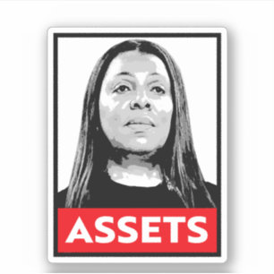 TILLGÅNGAR: Letitia James Klistermärken