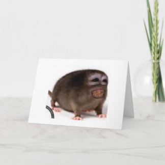 tillgivet födelsedagkort kort