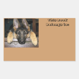 Tillhör till namn-fästmärke rektangulärt klistermärke