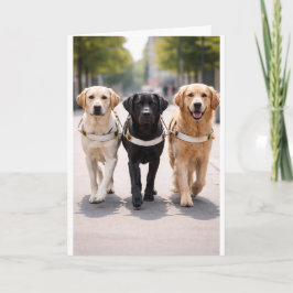 Tillkännagivande om ledarhundsteam Framåt Tillsamm Meddelande