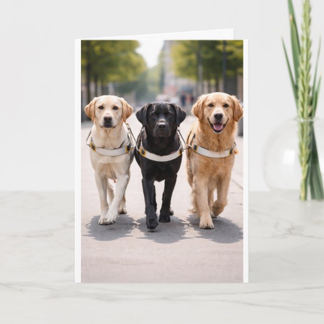 Tillkännagivande om ledarhundsteam Framåt Tillsamm Meddelande (Framsida)