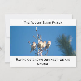 Tillkännagivande - Utodlade vårt bo ... Meddelande