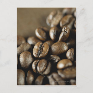 Tillnärmning av kaffebönor vykort