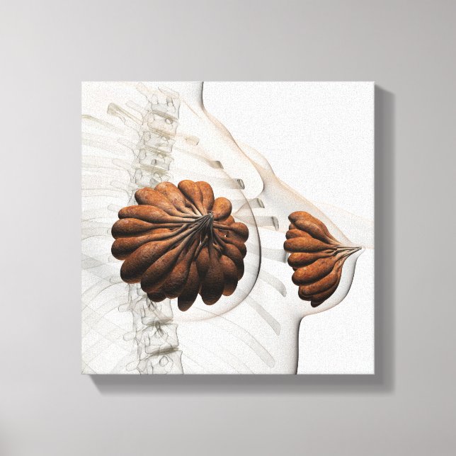 Tillnärmning av kvinnliga bröstkörtlar canvastryck (Framsida)