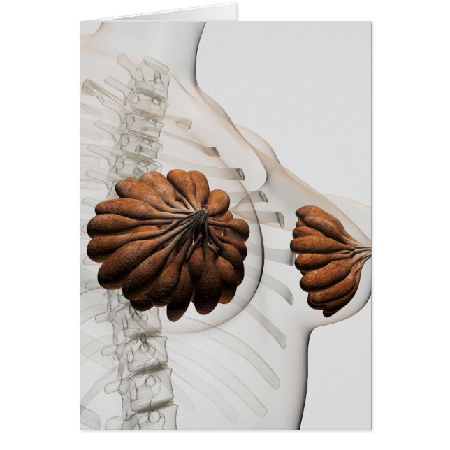 Tillnärmning av kvinnliga bröstkörtlar hälsningskort (Framsidan)