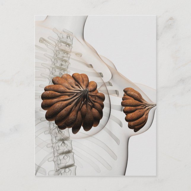 Tillnärmning av kvinnliga bröstkörtlar vykort (Framsida)