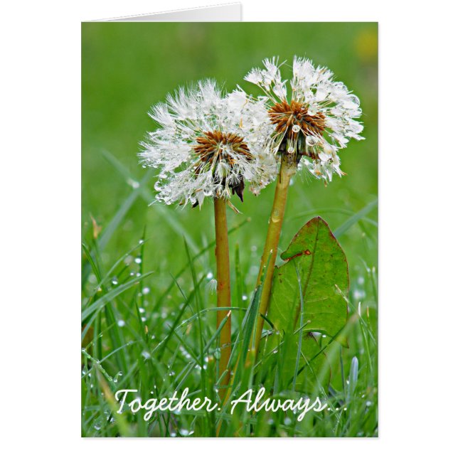 Tillsammans. Alltid.. Hälsningskort (Framsidan)