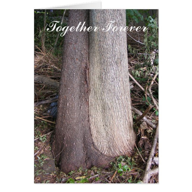 Tillsammans för alltid ~-kort hälsningskort (Framsidan)