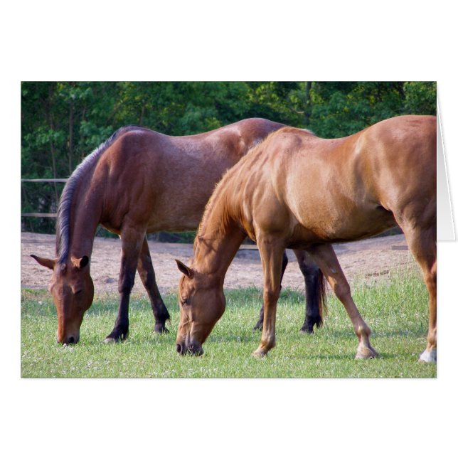 tillsammans hälsningskort (Framsidan Horizontal)