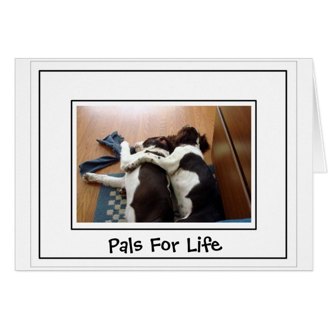 Tillsammans Hälsningskort (Framsidan Horizontal)