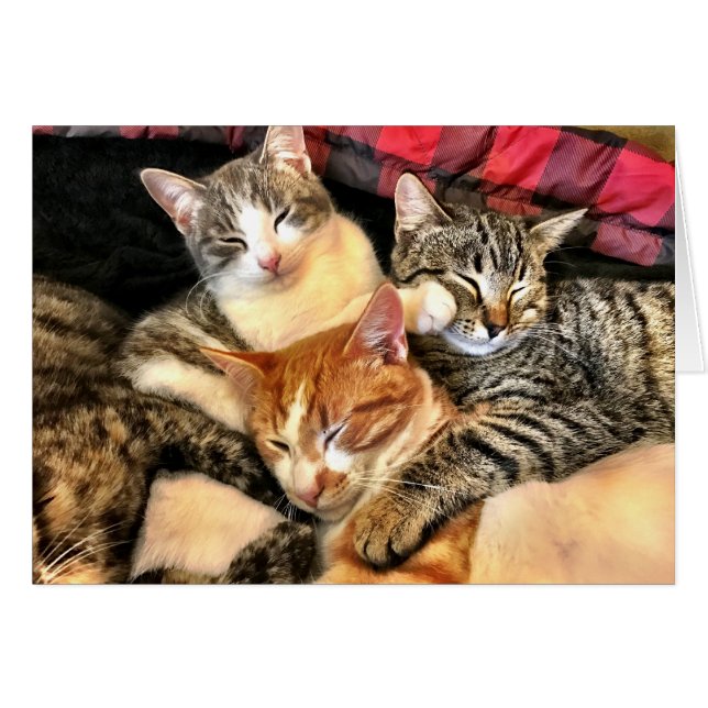 Tillsammans Hälsningskort (Framsidan Horizontal)