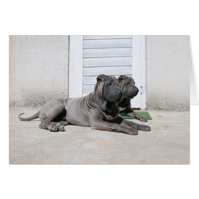 Tillsammans... Hälsningskort (Framsidan Horizontal)