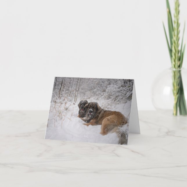 Tillsammans Helgdag Helgkort (Framsida)