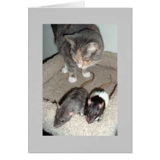 tillsammans kan hälsningskort