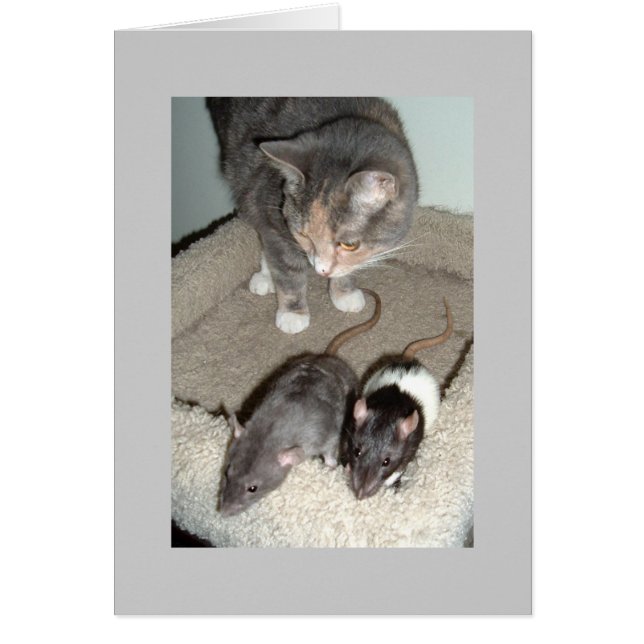 tillsammans kan hälsningskort (Framsidan)